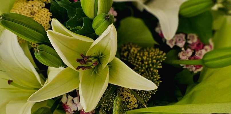 Nos fleurs