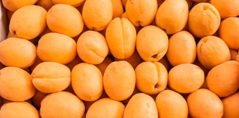 Abricots